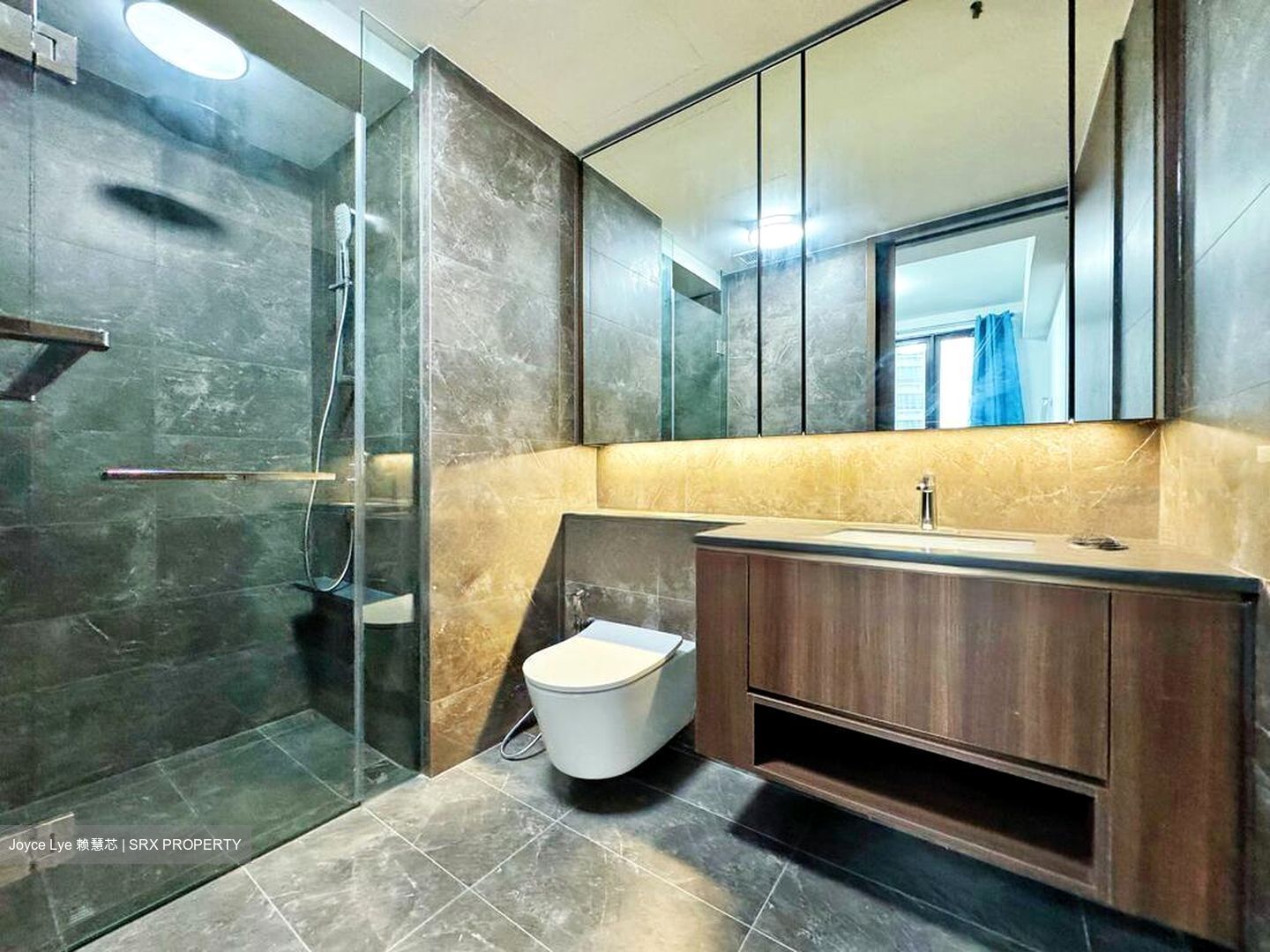 Kopar At Newton (D9), Apartment #438519031